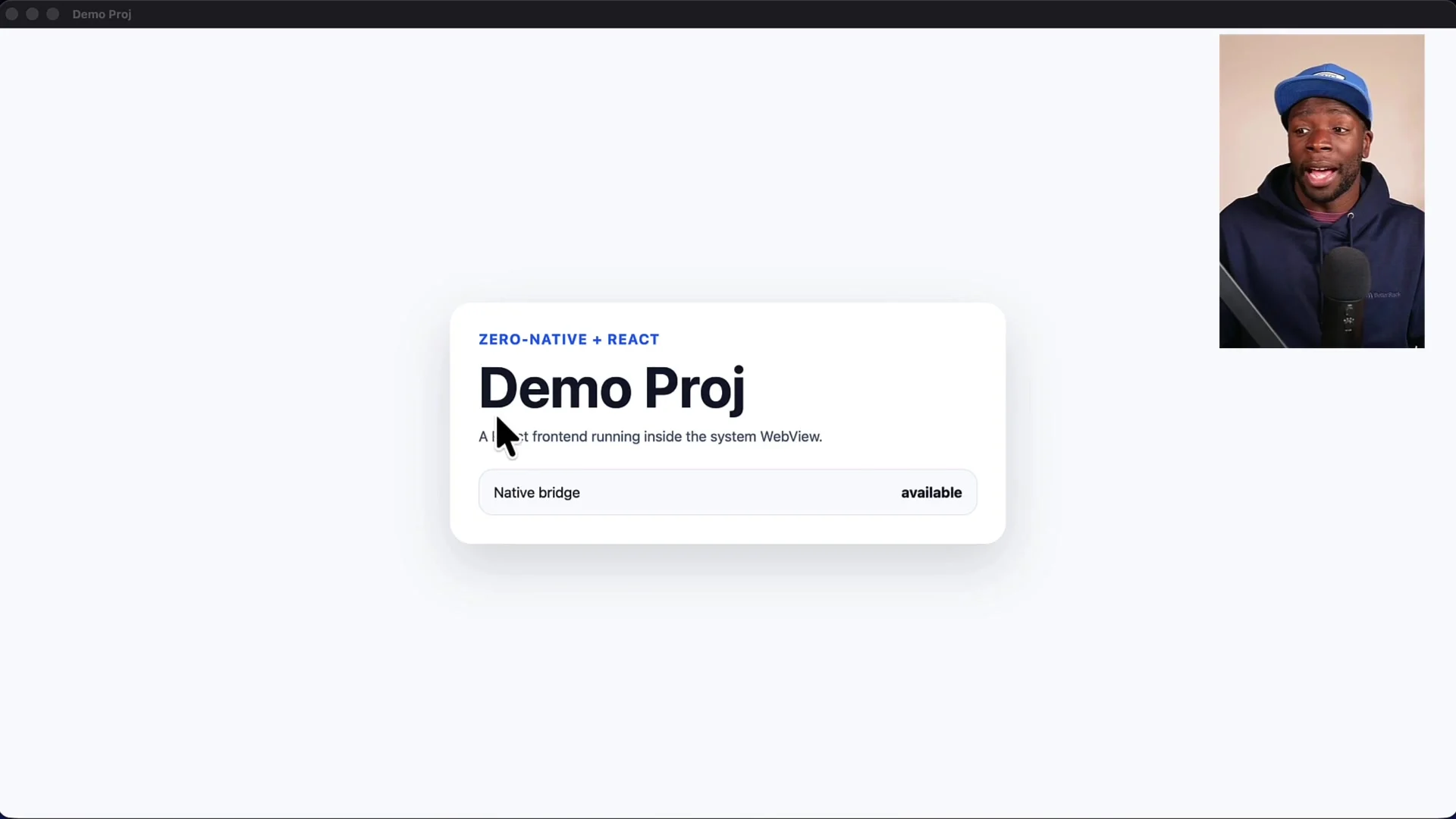 Default "Demo Project" application window showing a simple UI with "native bridge" and "available" text
