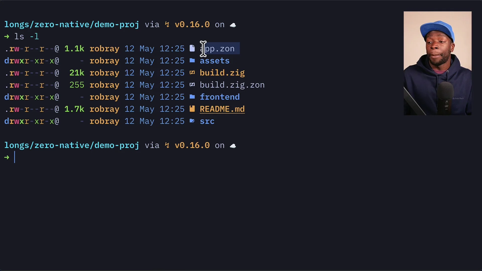 Terminal output listing the files generated by init: app.zon, assets, build.zig, frontend, src