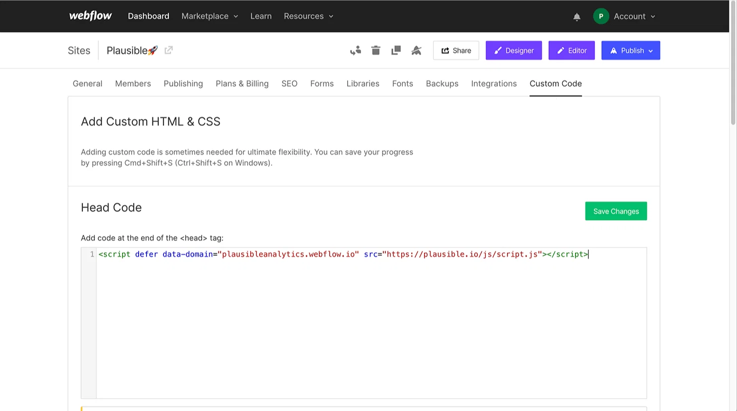 Add Plausible Analytics script to Webflow