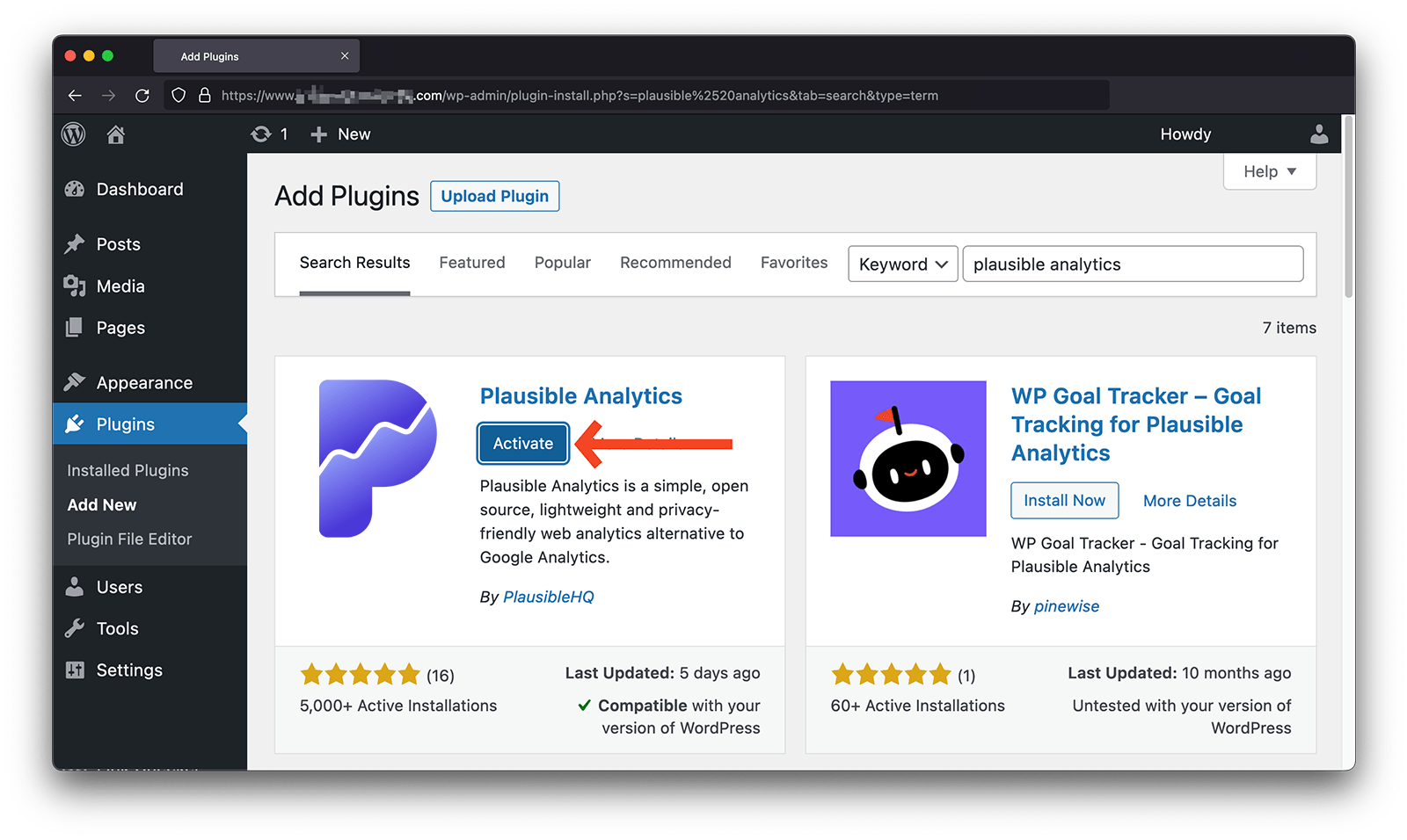 Activate the Plausible Analytics WordPress plugin