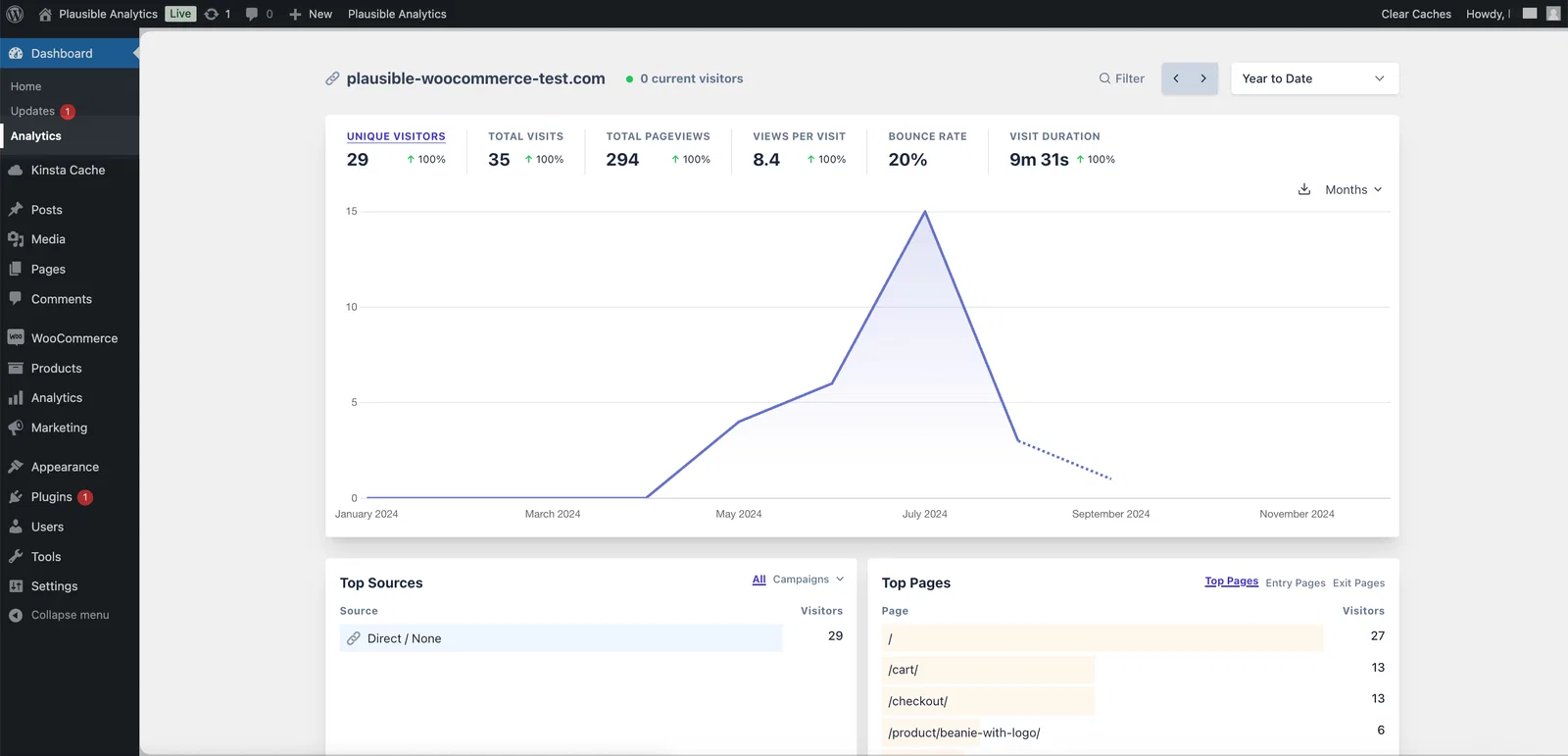 Plausible Analytics within a WordPress dashboard Plausible Analytics within a WordPress dashboard