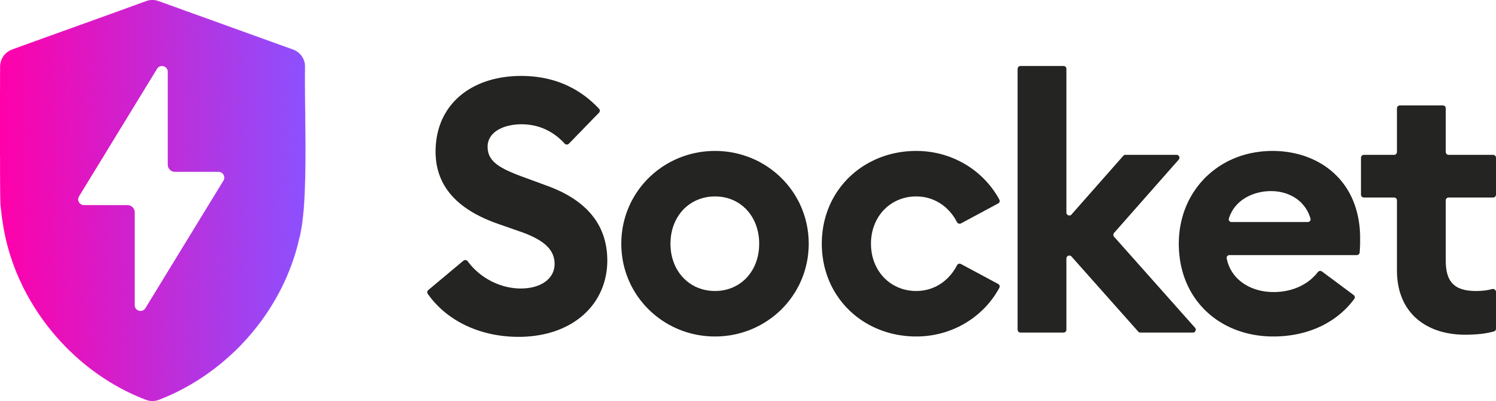 Socket logo